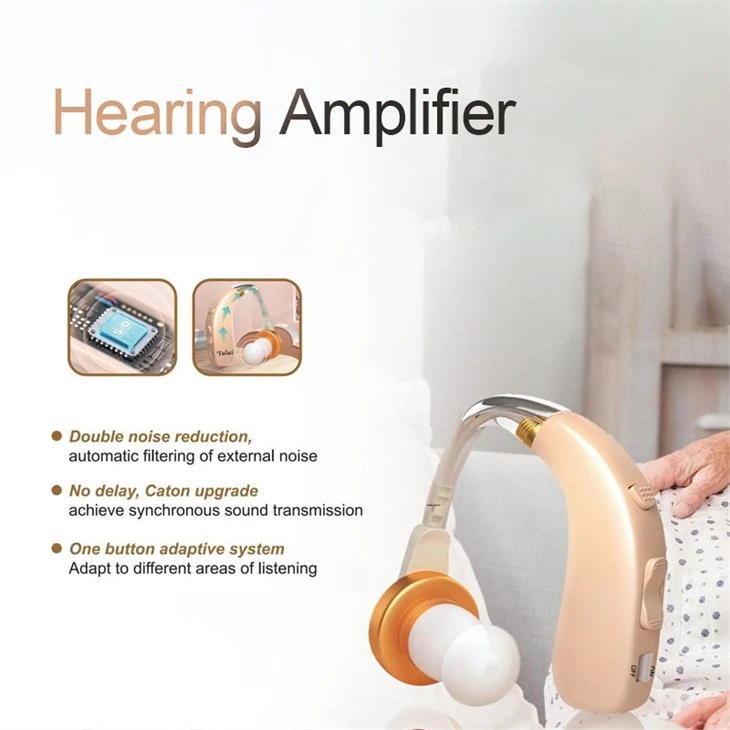 Hearing Aid Brands